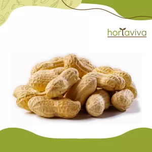 Amendoim cozido - lata