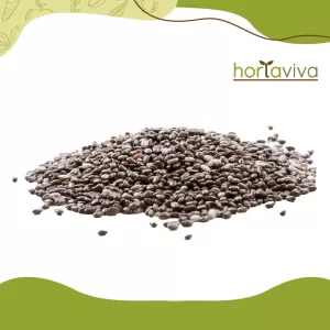 Chia em grão – grama