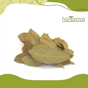 Folha de Louro – grama