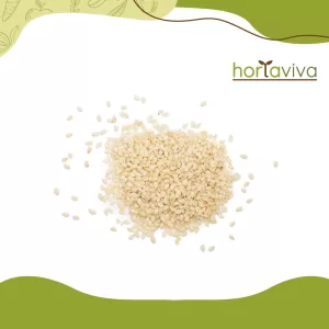 Gergelim branco - grama