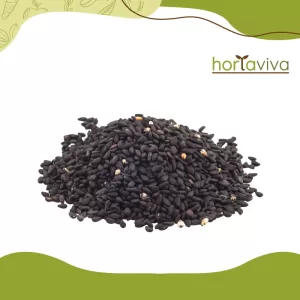 Gergelim preto – grama