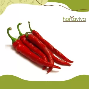 Pimenta dedo de moça – grama