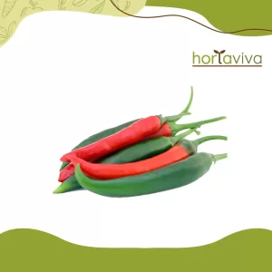 Pimenta malagueta – grama