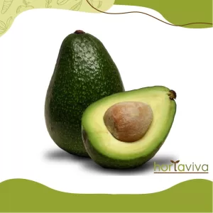 Abacate - Kg