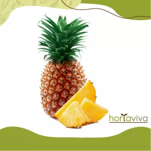 Abacaxi - unid