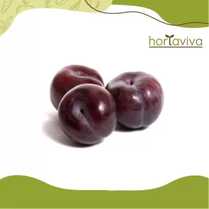 Ameixa Nacional – grama