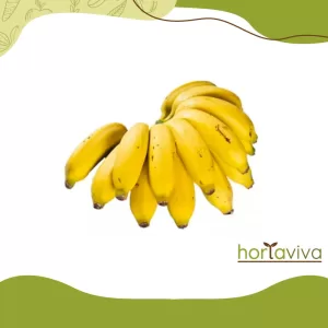 Banana maçã - unid