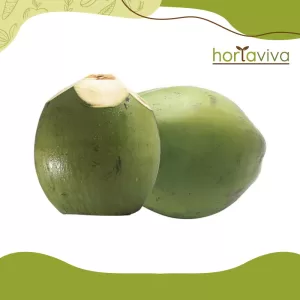 Coco verde – unid