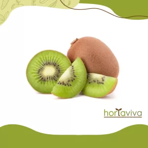 Kiwi – grama