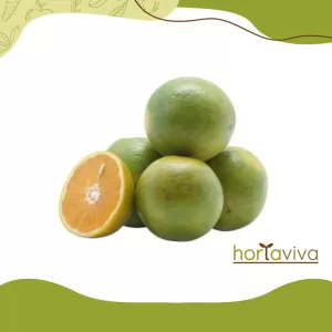 Laranja pêra – kg