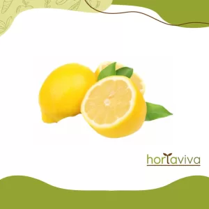Limão siciliano – grama