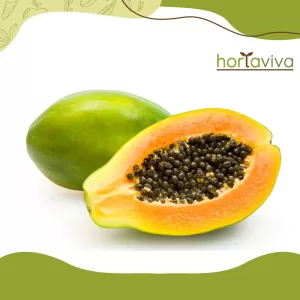 Mamão hawaí – kg