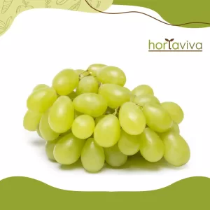 Uva itália - kg