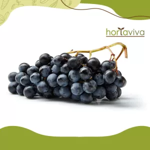 Uva sem caroço -  grama