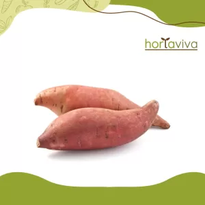 Batata doce – kg