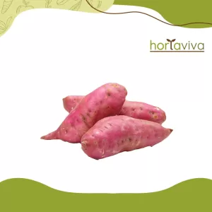 Batata doce rosada - kg