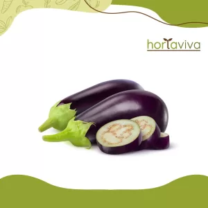Berinjela – kg