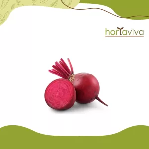 Beterraba – kg