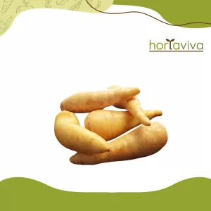 Mandioquinha – bandeja