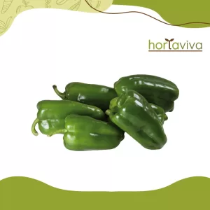 Pimentão verde – grama