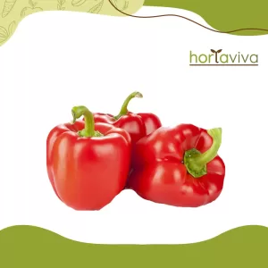 Pimentão vermelho – unidade