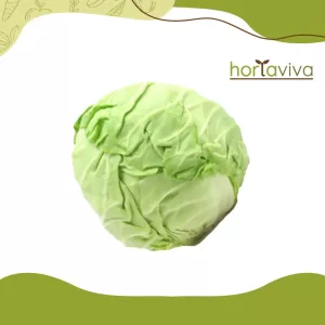 Repolho verde – kg