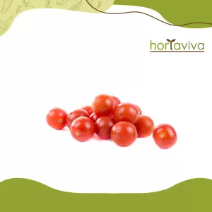 Tomate cereja – bdj