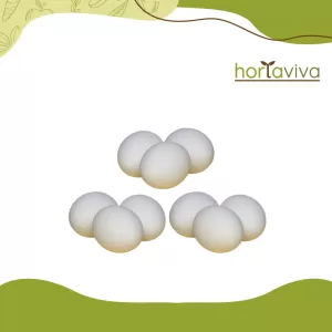 Ovos de galinha - dz